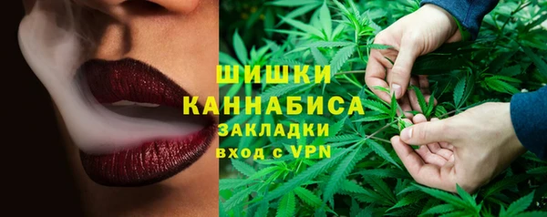 шишки Белоозёрский