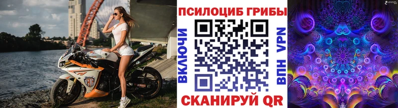 Купить  Каспийск  Псилоцибиновые грибы мицелий 